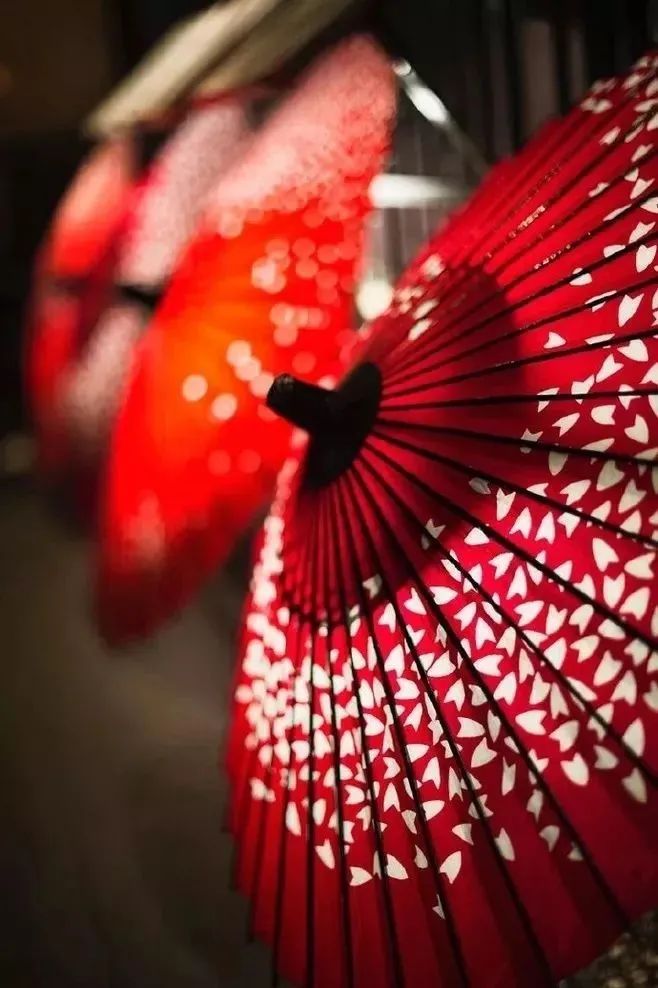 1631153858481022948.jpeg 1631153858481022948.jpeg