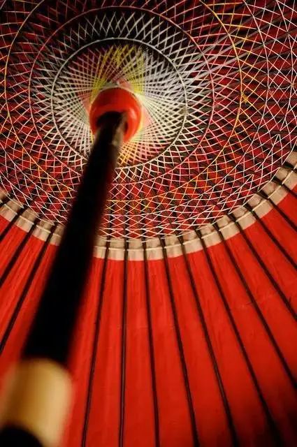 1631153881611042197.jpeg 1631153881611042197.jpeg