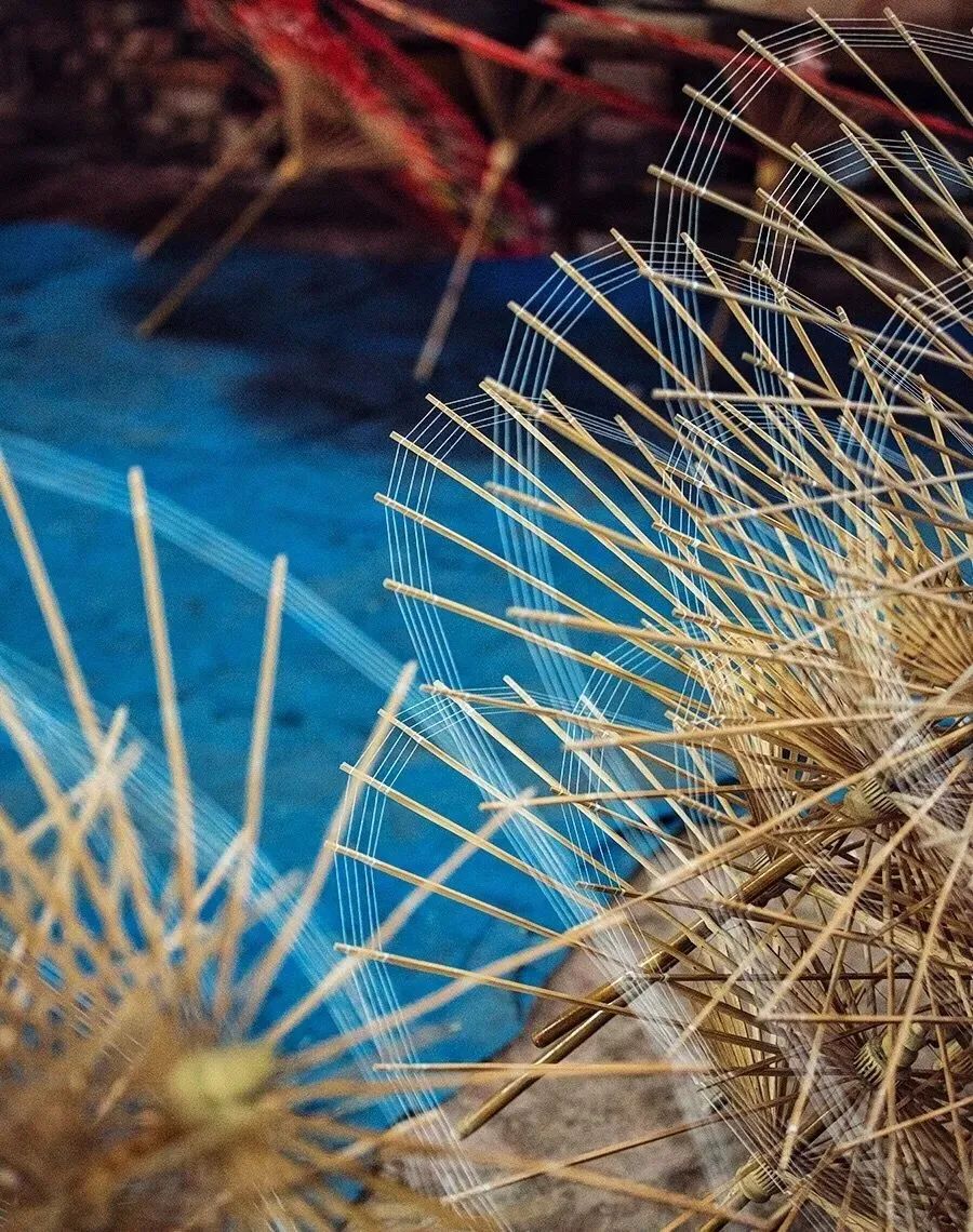 1631154127775028371.jpeg 1631154127775028371.jpeg